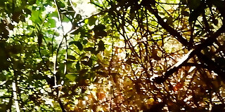 amateur,anal,asian,asian teen,bhabhi,couple,desi,hd,hot,indian,indian teen,new,outdoor,public,public sex,sex,small tits,sri lankan,teen