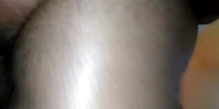 ass,doggy,hindi,lube