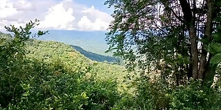 amateur,brunette,cum in mouth,facial,hd,indian,jungle,money,oral,outdoor,sex