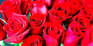 anal,aunty,bangladeshi,beautiful,bhabhi,big ass,big natural tits,blowjob,boobs,cheating,desi,fucking,hd,homemade,indian,mature,milf,mom,saree,sex,story,taboo,vagina,wife