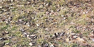 asian,bhabhi,boobs,desi,hd,hot,indian,massage,mature,nipples,outdoor,sexy