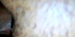 amateur,desi,desi amateur,desi in homemade,hd,homemade,husband,indian,indian amateur,indian hd,indian in homemade,pussy