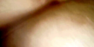 amateur,desi,furry,hd,hirsute,tight pussy