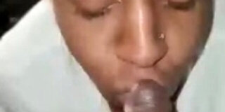 amateur,arab,big ass,blowjob,dick,ebony,exclusive,hawaiian,indian,korean,sloppy,verified