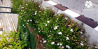 aged,aunty,babe,banging,beauty,bhabhi,blowjob,college,desi,face fuck,fucking,hardcore,hd,hot,indian,neighbor,pornstar,sex