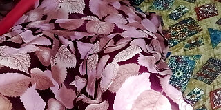 boobs,dick,fucking,hd,home,indian,legs,massage,pantyhose,rubbing,thick,wife