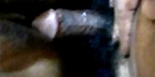 desi,fucking,indian,indian wife,sexy,wife
