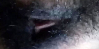 furry,indian