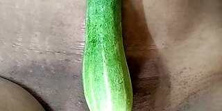 beauty,boobs,couple,cucumber,desi,hd,hindi,home,homemade,indian,masturbating,pussy,sex,sexy