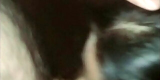 blowjob,cum,cum in mouth,cumming,cumshot,desi,hd,indian,indian blowjob,indian hd,moan,mouthful,throat
