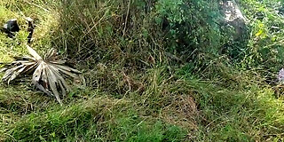 amateur,anal,cheating,desi,desi amateur,desi in homemade,handjob,hd,homemade,indian,indian amateur,indian handjob,indian hd,indian in homemade,lady,nature,outdoor,pov,realm,sex,tugjob