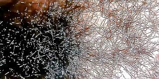 asian,aunty,beauty,bhabhi,black,boobs,couple,cute,desi,friend,hd,hot,indian,milk,mom,pussy,sex,tamil,wife