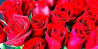 anal,aunty,bangladeshi,beauty,bedroom,bhabhi,big ass,big natural tits,boobs,cheating,desi,erotic,fucking,handjob,hardcore,hd,hot,hottest,indian,innate,mature,milf,mom,new,sex,story