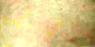 bbc,bbw,desi,doggy,english,indian,pussy,ssbbw