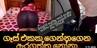 big ass,desi,doggy,fucking,hd,hot,hottest,indian,milf,mom,pov,sri lankan,sucking