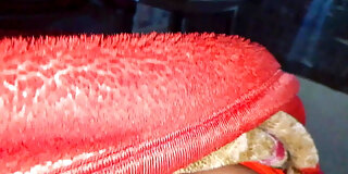 amateur,anal,beautiful,bhabhi,boobs,college,college girl,cowgirl,cruel,desi,hd,hot,indian,masturbating,mom,old man,sex,student