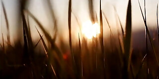 bangladeshi,fucking,hindi,indian,naughty