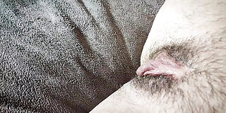 amateur,babe,climax,close up,cute,desi,hairy pussy,handjob,hd,homemade,licking,massage,masturbating,milf,milk,moaning,morning,pussy,pussy licking,sex,solo,tight pussy,toys,wet